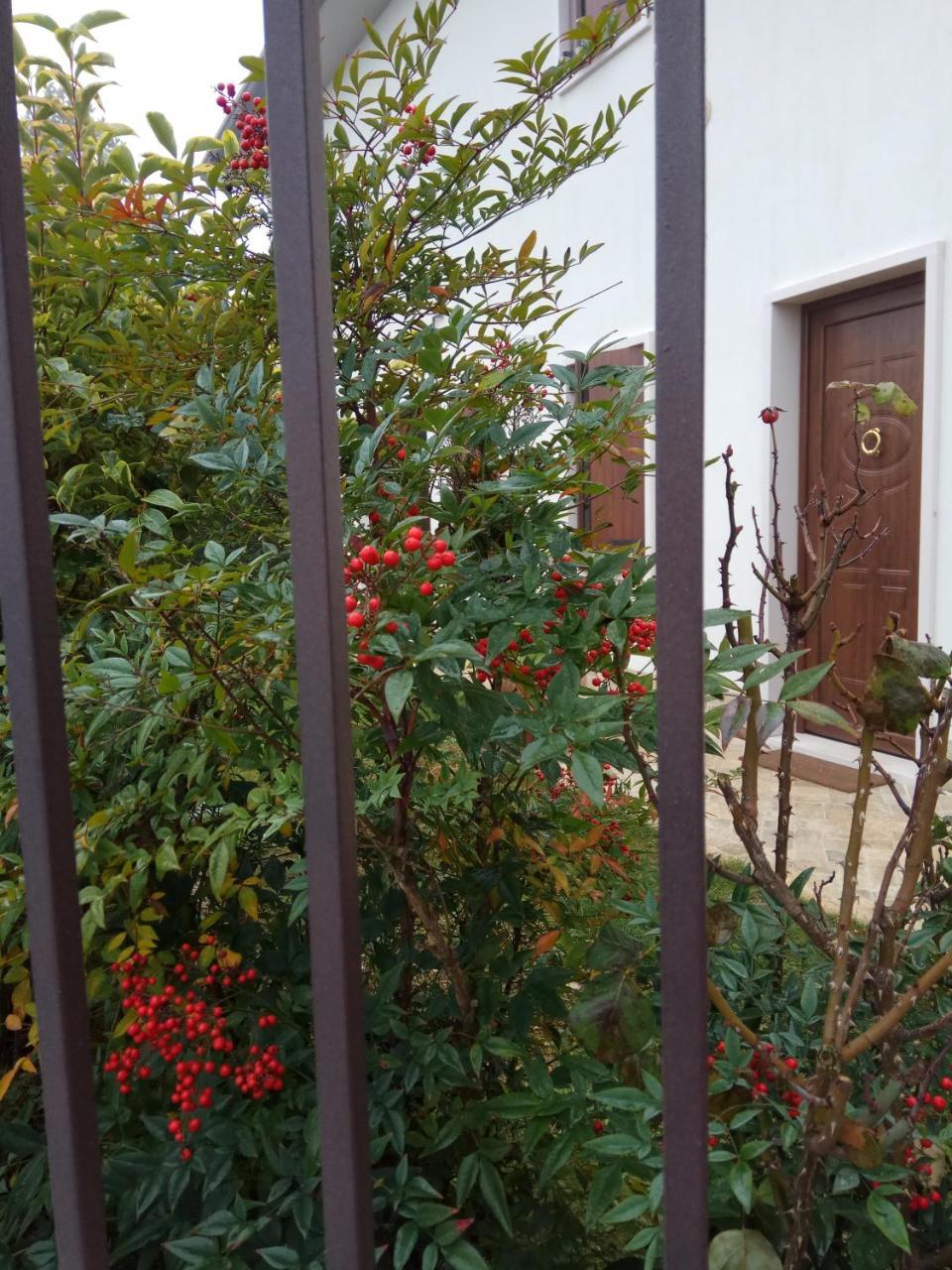 La Siesta Hotell Villafranca di Verona Eksteriør bilde